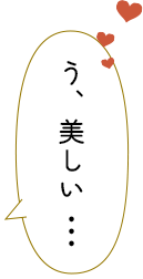 う、美しい・・・